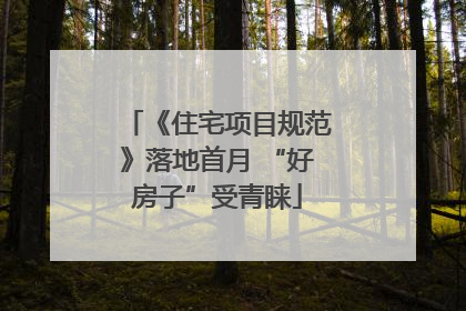 《住宅项目规范》落地首月 “好房子”受青睐
