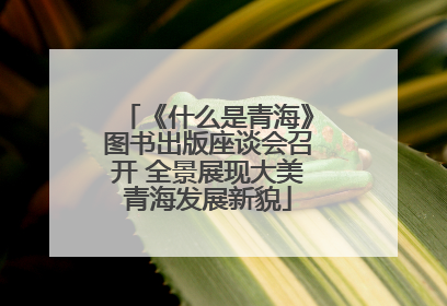《什么是青海》图书出版座谈会召开 全景展现大美青海发展新貌