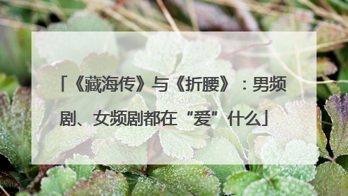 《藏海传》与《折腰》：男频剧、女频剧都在“爱”什么