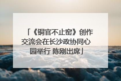 《铜官不止窑》创作交流会在长沙政协同心园举行 陈刚出席