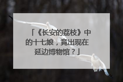 《长安的荔枝》中的十七娘，竟出现在延边博物馆？