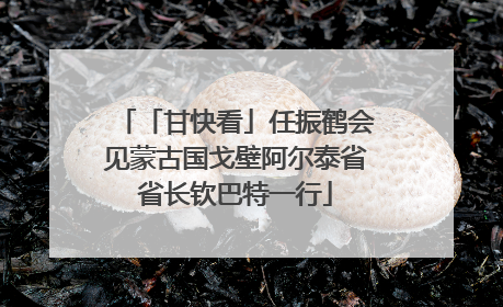 「甘快看」任振鹤会见蒙古国戈壁阿尔泰省省长钦巴特一行