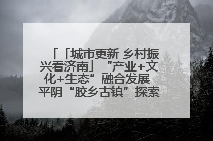 「城市更新 乡村振兴看济南」“产业+文化+生态”融合发展 平阴“胶乡古镇”探索振兴路径成效显著