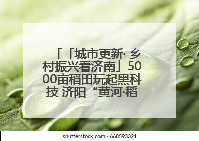「城市更新· 乡村振兴看济南」5000亩稻田玩起黑科技 济阳“黄河·稻乡湾”靠“非遗+露营”火出圈