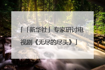 「新华社」专家研讨电视剧《无尽的尽头》