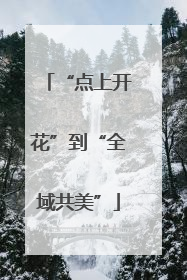 “点上开花”到“全域共美”