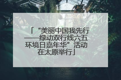 “美丽中国我先行——绿动双行线六五环境日嘉年华”活动在太原举行