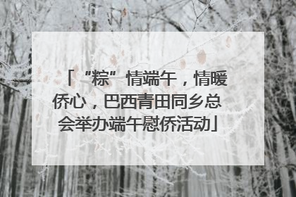 “粽”情端午，情暖侨心，巴西青田同乡总会举办端午慰侨活动