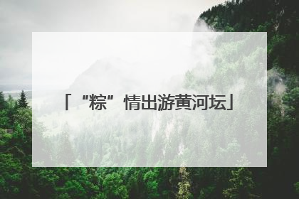 “粽”情出游黄河坛