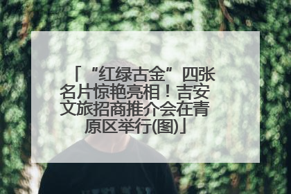 “红绿古金”四张名片惊艳亮相！吉安文旅招商推介会在青原区举行(图)