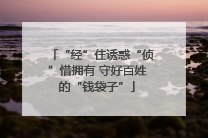 “经”住诱惑“侦”惜拥有 守好百姓的“钱袋子”