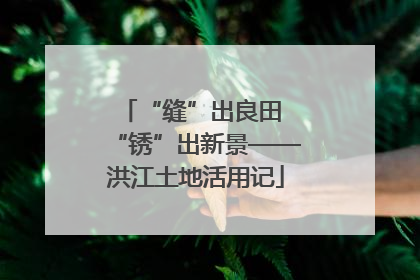 “缝”出良田 “锈”出新景——洪江土地活用记