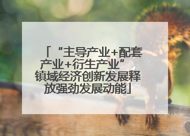 “主导产业+配套产业+衍生产业” 镇域经济创新发展释放强劲发展动能