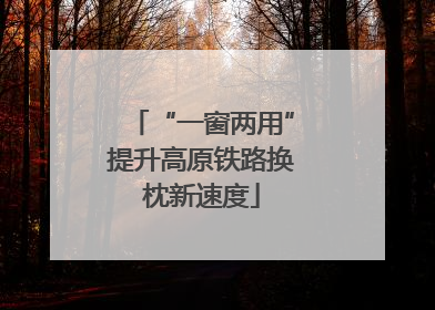 “一窗两用”提升高原铁路换枕新速度