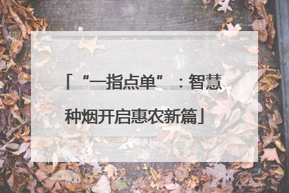 “一指点单”：智慧种烟开启惠农新篇