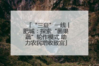 “三夏”一线丨肥城：探索“菌果蔬”轮作模式 助力农民增收致富