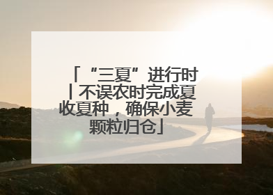 “三夏”进行时丨不误农时完成夏收夏种，确保小麦颗粒归仓