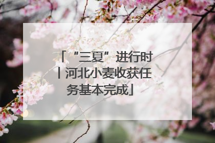 “三夏”进行时丨河北小麦收获任务基本完成