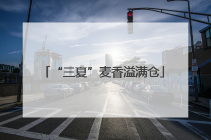 “三夏”麦香溢满仓
