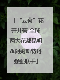 “云荷”花开并蒂 全球两大花都昆明&阿姆斯特丹强强联手