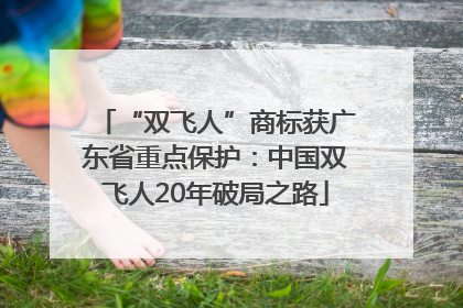 “双飞人”商标获广东省重点保护：中国双飞人20年破局之路