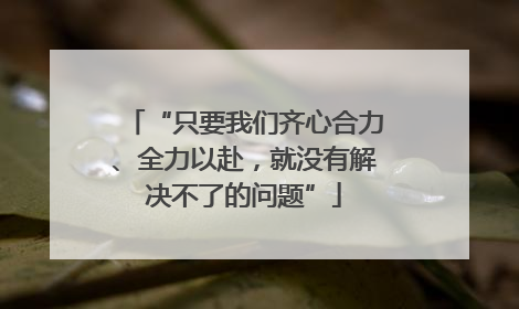 “只要我们齐心合力、全力以赴，就没有解决不了的问题”