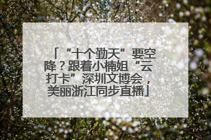 “十个勤天”要空降？跟着小楠姐“云打卡”深圳文博会，美丽浙江同步直播