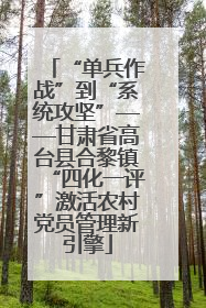 “单兵作战”到“系统攻坚”——甘肃省高台县合黎镇“四化一评”激活农村党员管理新引擎