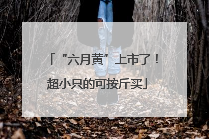 “六月黄”上市了！超小只的可按斤买