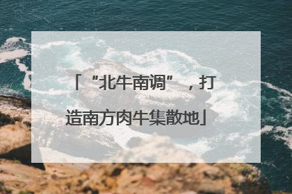 “北牛南调”，打造南方肉牛集散地