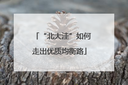“北大洼”如何走出优质均衡路
