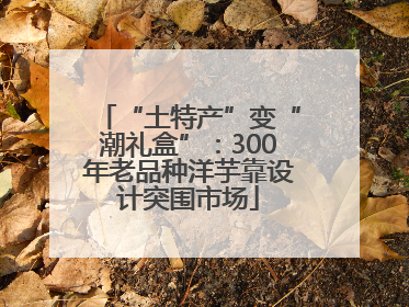 “土特产”变“潮礼盒”：300年老品种洋芋靠设计突围市场