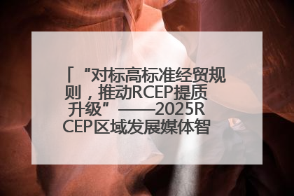 “对标高标准经贸规则，推动RCEP提质升级”——2025RCEP区域发展媒体智库论坛举行专题对话