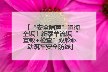 “安全哨声”响彻全镇！新泰羊流镇“宣教+检查”双轮驱动筑牢安全防线