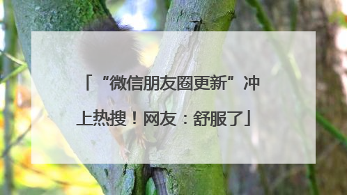 “微信朋友圈更新”冲上热搜！网友：舒服了