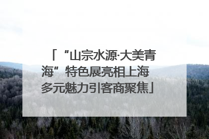 “山宗水源·大美青海”特色展亮相上海 多元魅力引客商聚焦