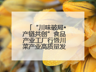 “川味破局•产链共创”食品产业工厂行暨川菜产业高质量发展座谈会举办