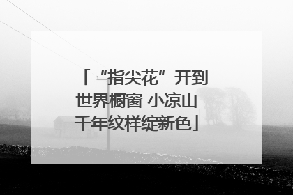 “指尖花”开到世界橱窗 小凉山千年纹样绽新色