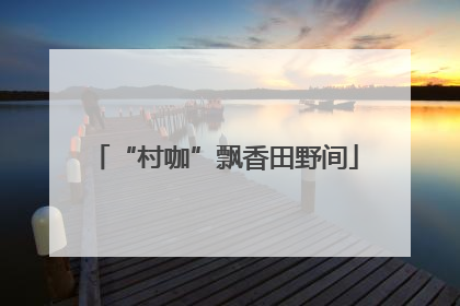 “村咖”飘香田野间
