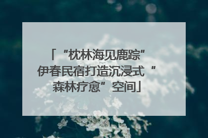 “枕林海见鹿踪” 伊春民宿打造沉浸式“森林疗愈”空间