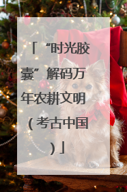 “时光胶囊”解码万年农耕文明（考古中国）