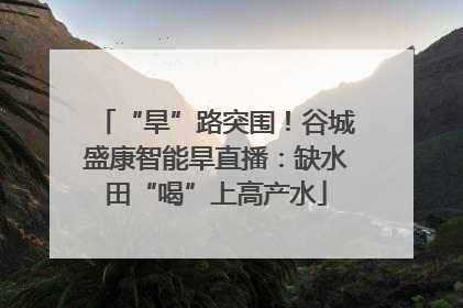 “旱”路突围！谷城盛康智能旱直播：缺水田“喝”上高产水