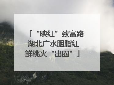 “映红”致富路 湖北广水胭脂红鲜桃火“出圈”