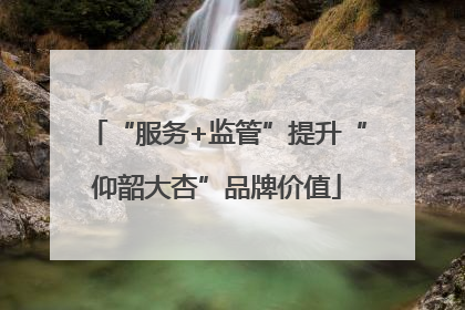 “服务+监管”提升“仰韶大杏”品牌价值