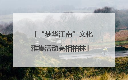“梦华江南”文化雅集活动亮相柏林