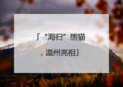“海归”熊猫，温州亮相