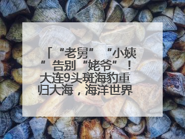 “老舅”“小姨”告别“姥爷”！大连9头斑海豹重归大海，海洋世界：它们已具备野外生存能力