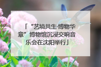 “艺境共生·博物华章”博物馆沉浸交响音乐会在沈阳举行