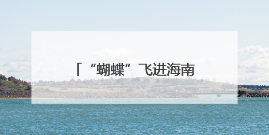 “蝴蝶”飞进海南 厦门大雨如注