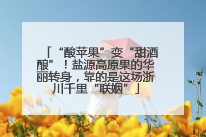 “酸苹果”变“甜酒酿”！盐源高原果的华丽转身，靠的是这场浙川千里“联姻”